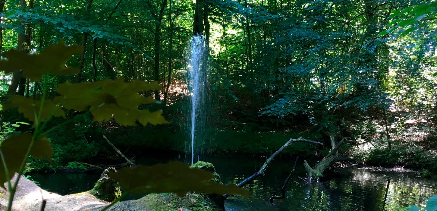 Spring at Christinero