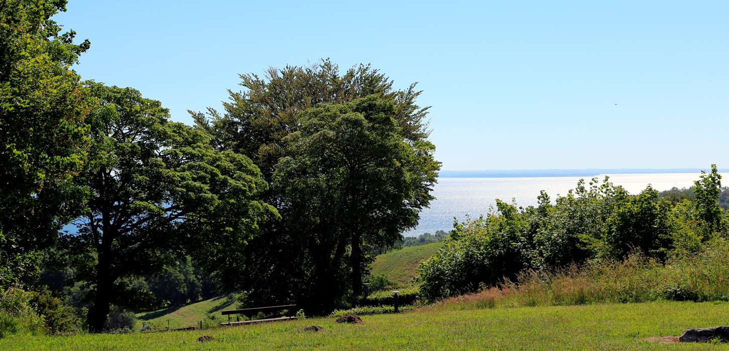 Skamlingsbankenudsigtlillebaelttrae