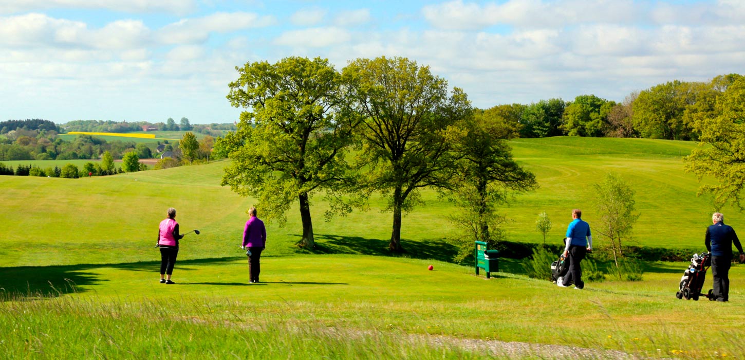 Golf i Kolding Birkemosegolfklub