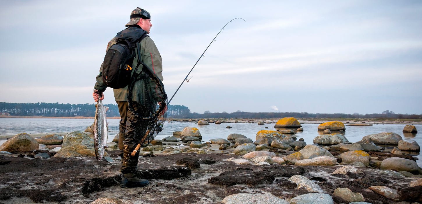 Fisk i hånden Kolding
