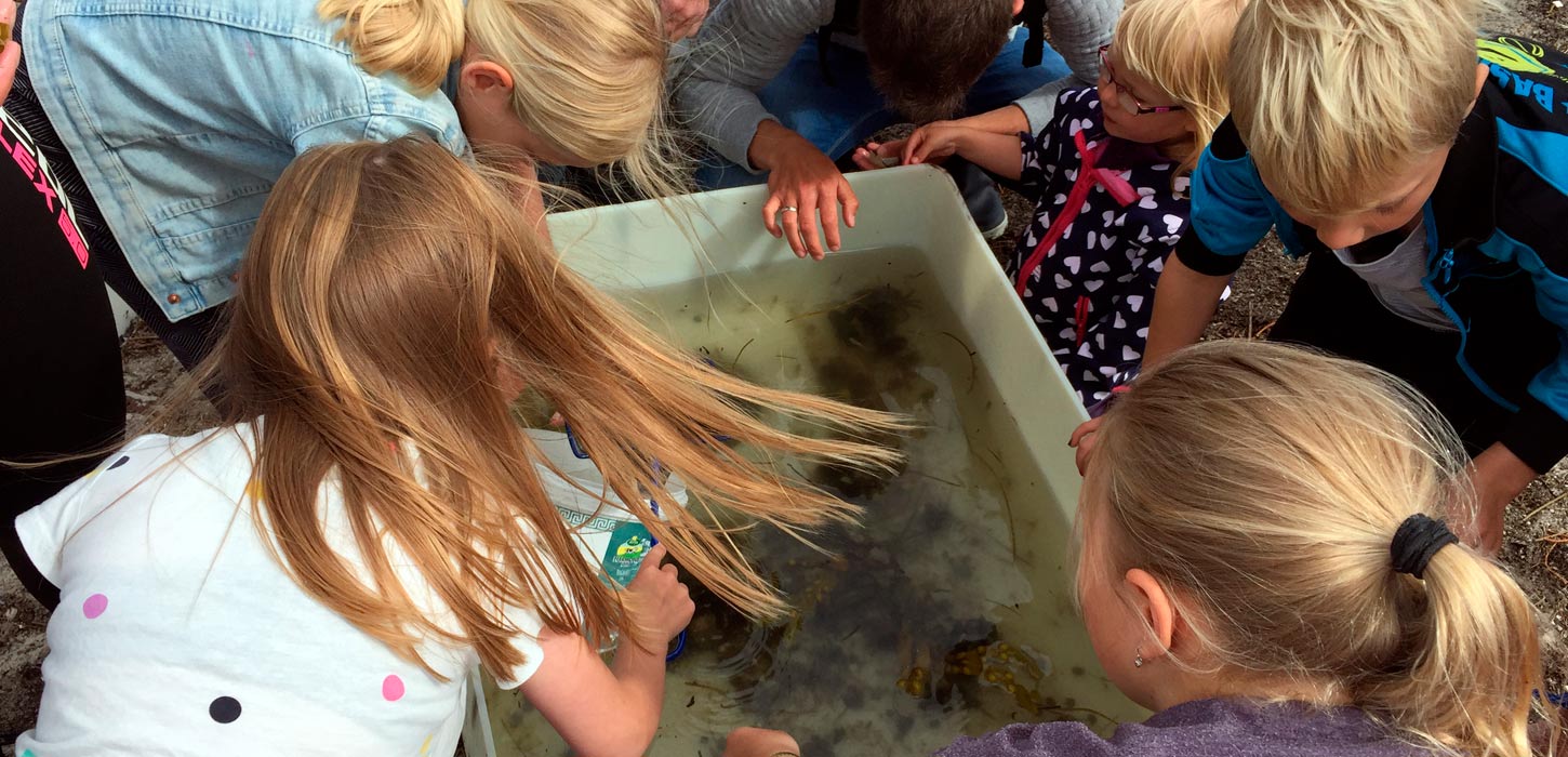 Naturpark Lillebælt - arrangementer i Naturpark Lillebælt