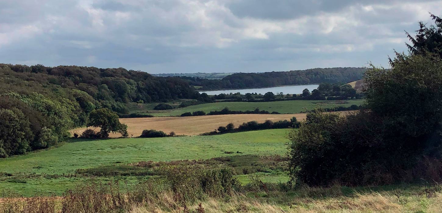 Natursti ved Drejens i Kolding
