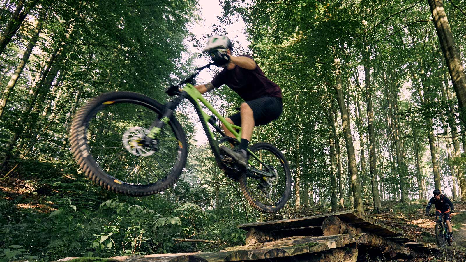 MTB Spor i området ved Kolding