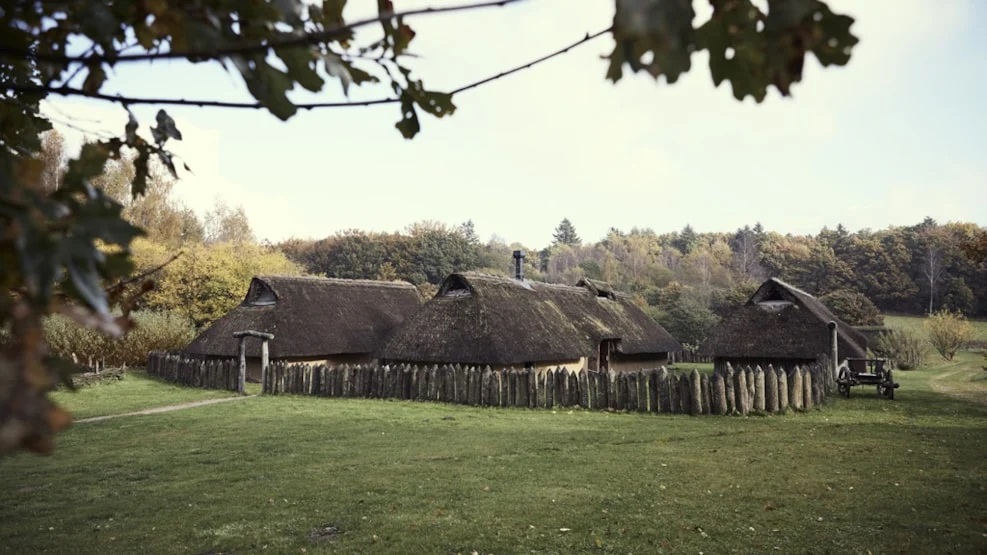 Jernaldermiljøet i Vingsted