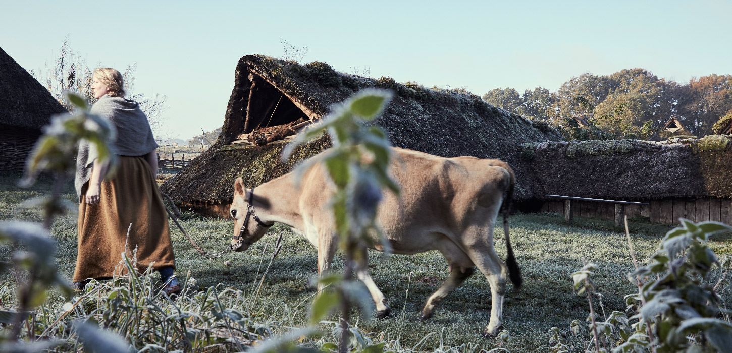 Jernaldermiljoet i Vingsted v Vejle