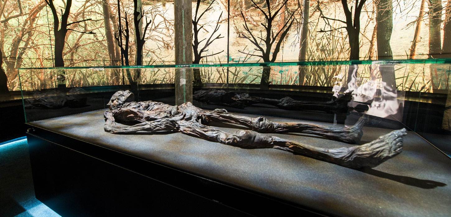 Kulturmuseet i Vejle