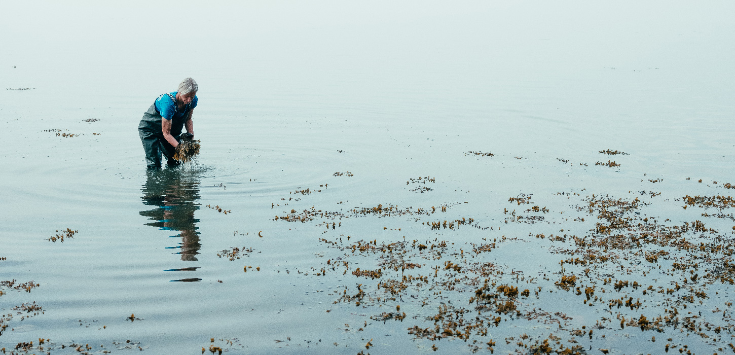 Recharge Destination Trekantomraadet Lillebælt