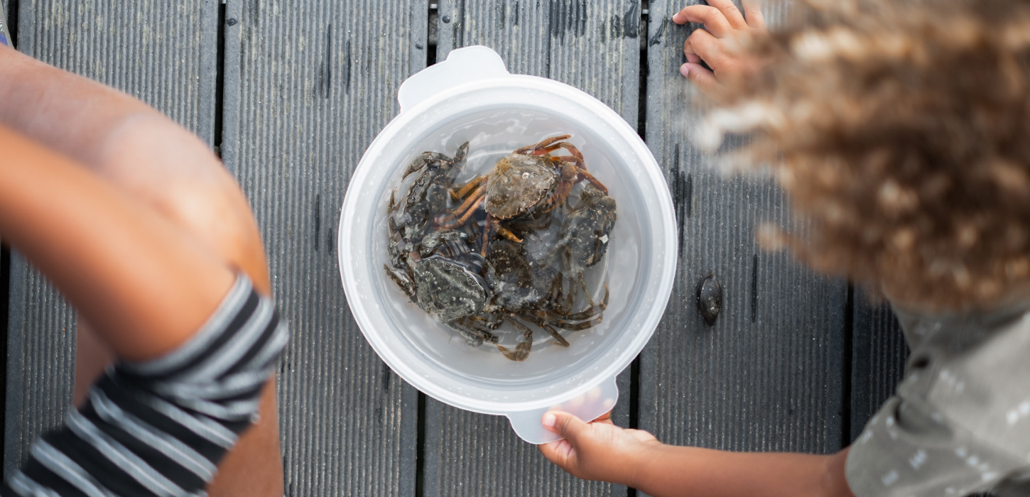Fang Krabben im Park oder mach ein Lagerfeuer. Im Guide findest du Ideen für 10 unterhaltsame Aktivitäten im Naturpark Lillebælt. Komm und erlebe einen aktiven Familienurlaub im LEGOLAND® Billund Resort. Hier warten viele Naturerlebnisse auf dich.