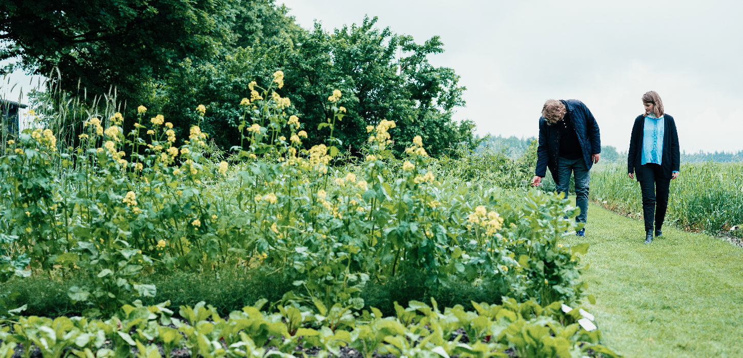 HistoryClture-Mark-Haven-Billund-DestinationTrekantomraadet
