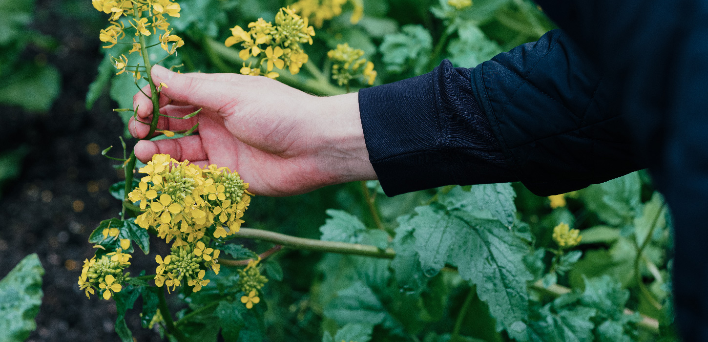 HsitoryCulture-Mark-Haven-Billund-DestinationTrekantomraadet