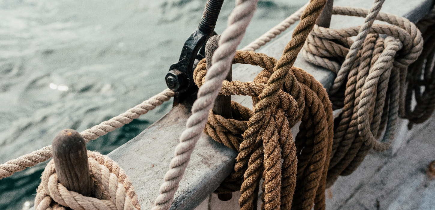 Hvalsafari-NaturparkLillebaelt-DestinationTrekantomraadet