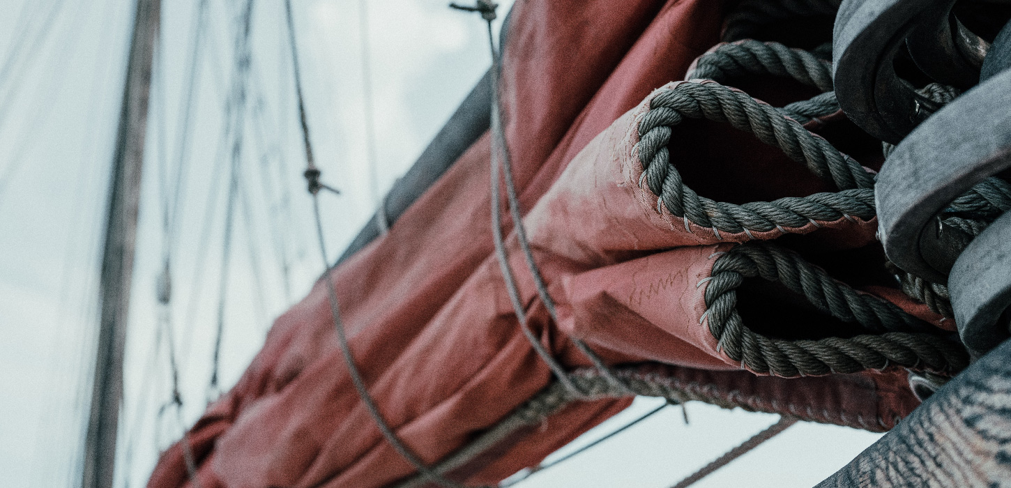 Hvalsafari-i-DestinationTrekantomraadet-Sejl-NaturparkLillebaelt