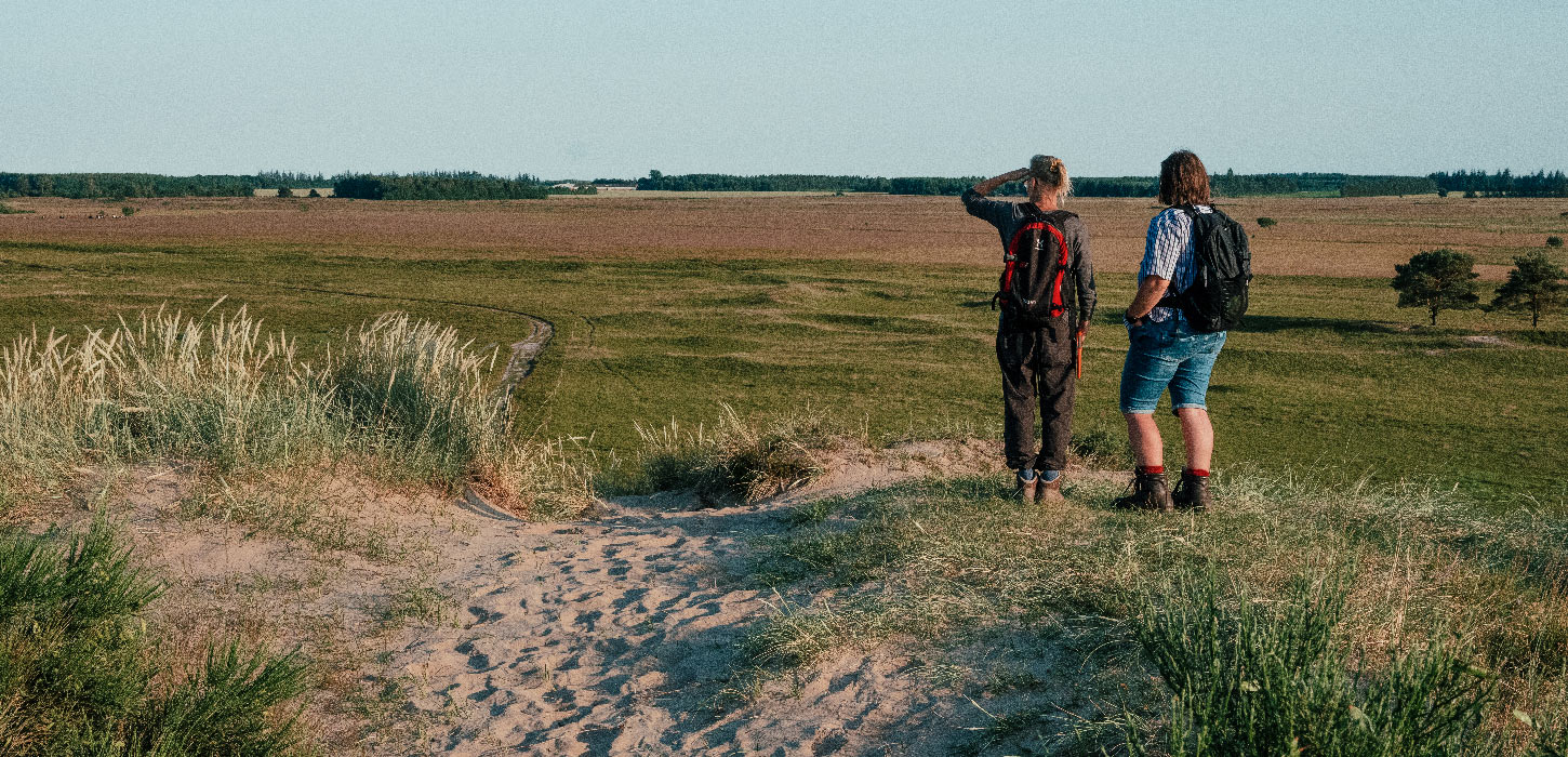 Vandre-i-plantagen-Billund-DestinationTrekantomraadet