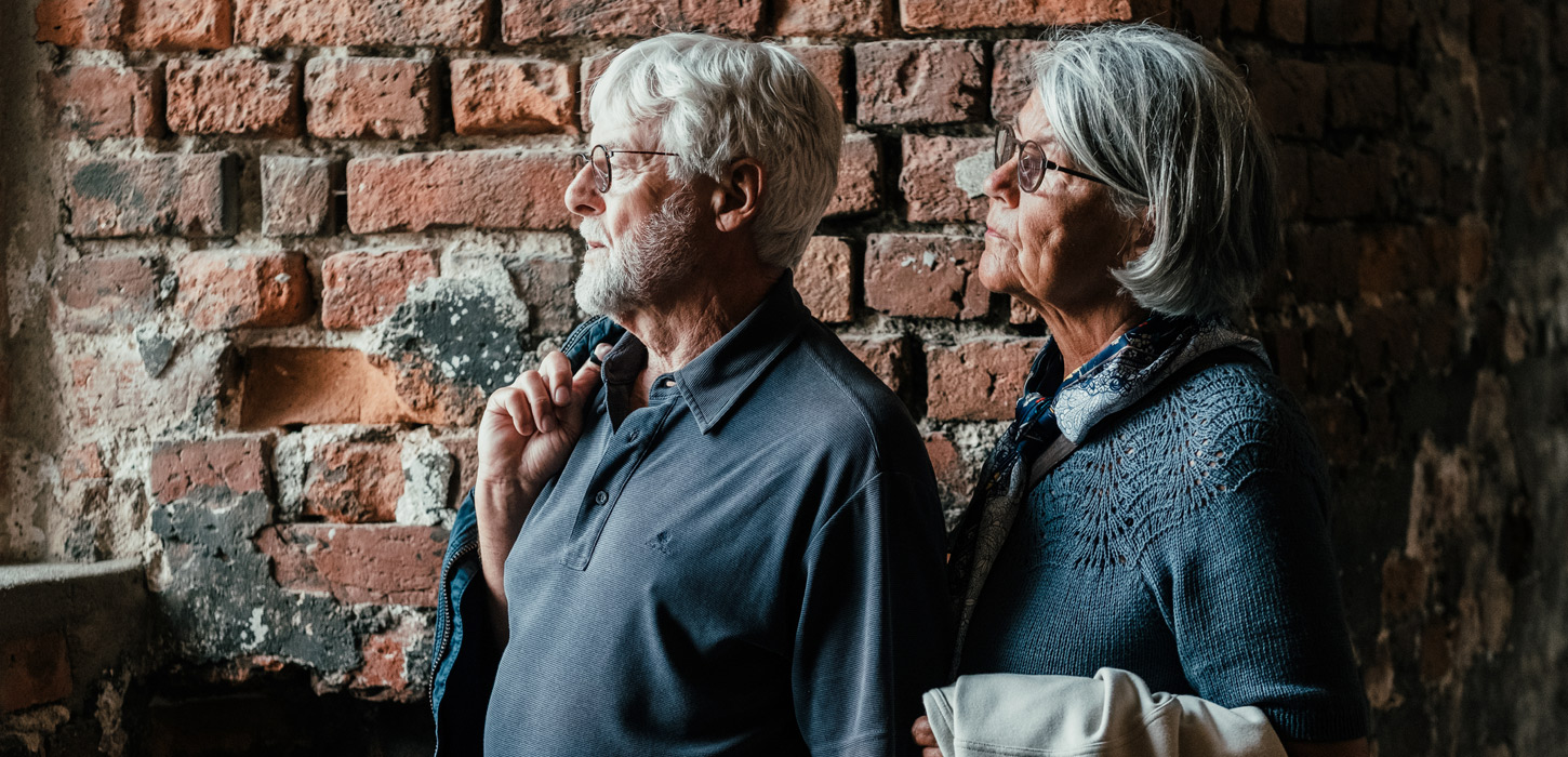 Koldinghus Par nyder udsigten Destination Trekantomraadet