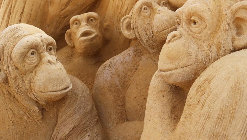 Chimpanser i Sandskulpturparken ved Lalandia