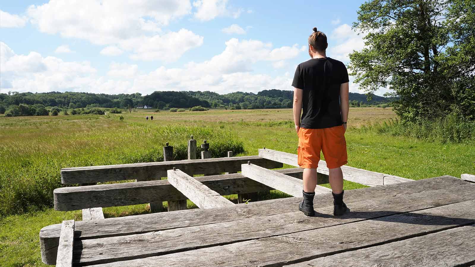 A man stands on the reconstruction of the Ravning Bridge and looks out over the lush meadows in Vejle Ådal.