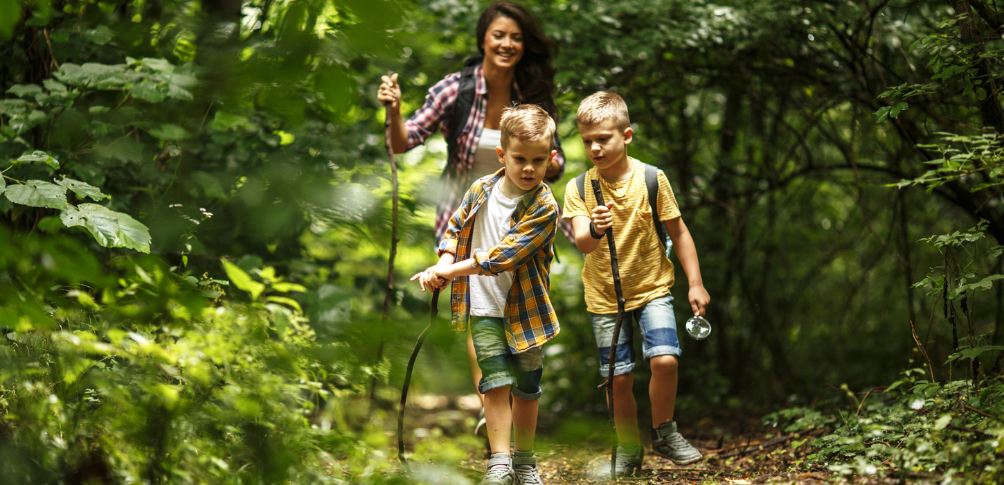 Destination Trekantomraadet vandring 