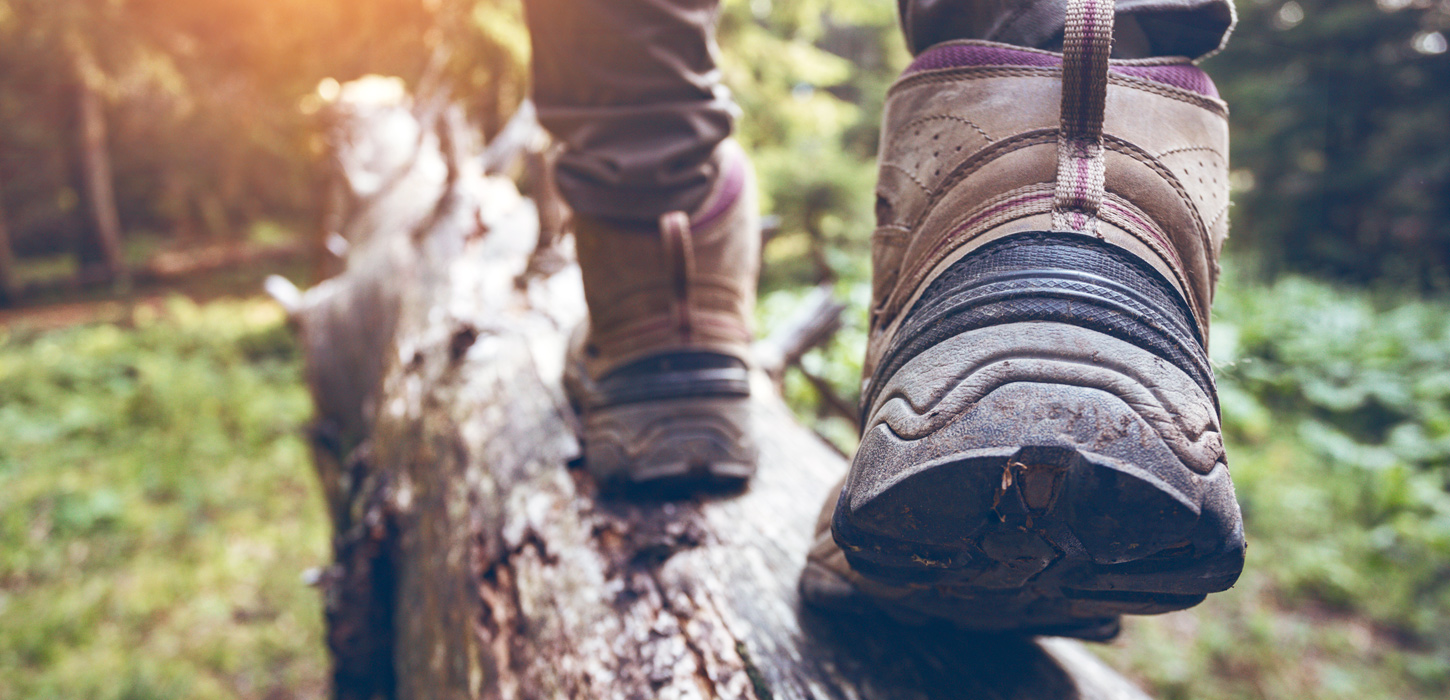 Vejle vandring på Rans Togt