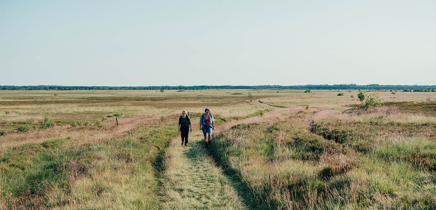 To vandrere på sti gennem det åbne hedelandskab, en del af Small Wonders-ruten.