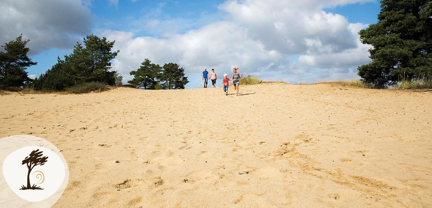 Familie går op ad de sandede bakker i Grene Sande omgivet af fyrretræer og blå himmel. Området er en del af Small Wonders-ruten.