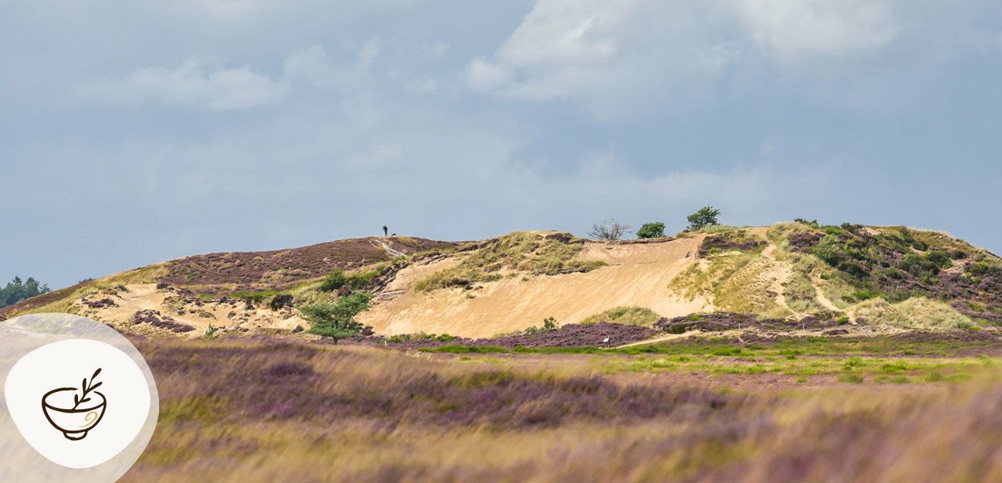 Kuperet hedelandskab med sandklitter og lyng ved Randbøldal Hede, et stop på Gastroruten i Small Wonders.