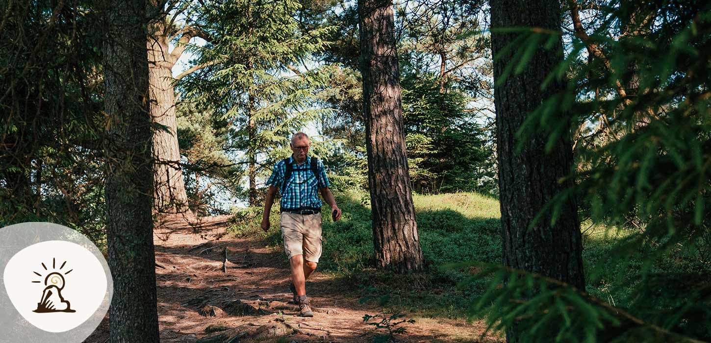 En vandrer går ned ad en sti i Frederikshåb Plantage, omgivet af høje træer og blødt sollys. Plantagen er et stop på Kunstruten i Small Wonders – Heart of Jutland.