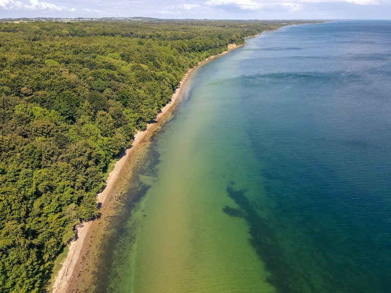 Ontdek het Staksrode Skov en Stenhoj Strand in Zuidoost Jutland in Denemarken