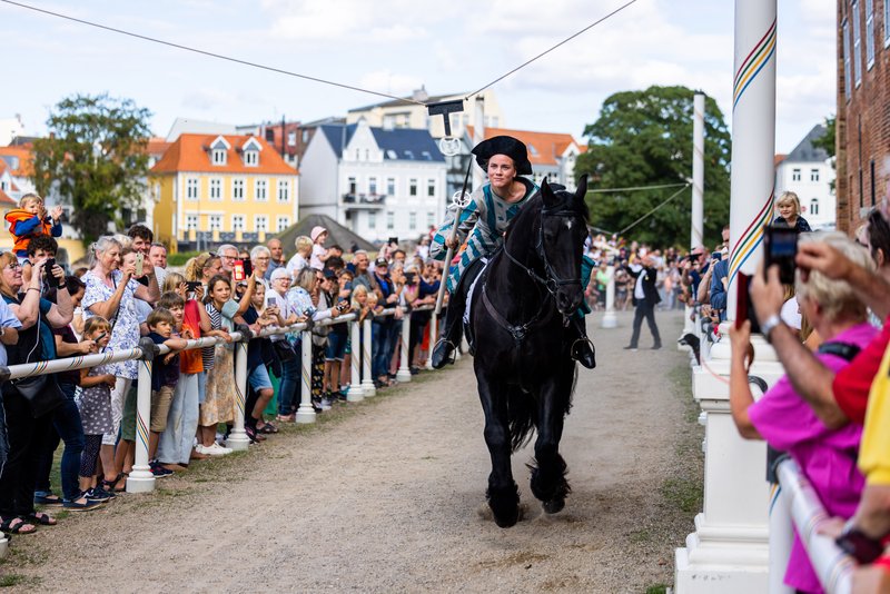 Ringsteken in Sønderjylland, Zuid-Jutland, Denemarken