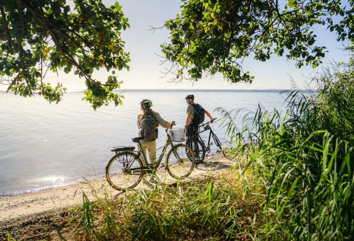 Fredericia cykler sommer
