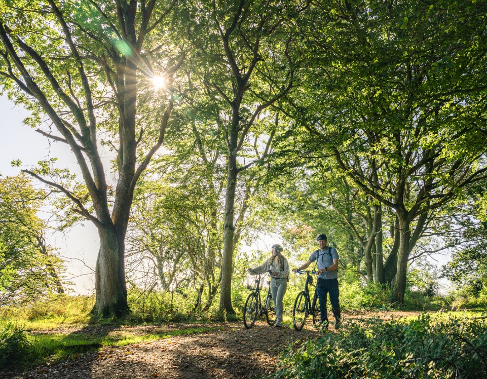 Fredericia cykler sommer