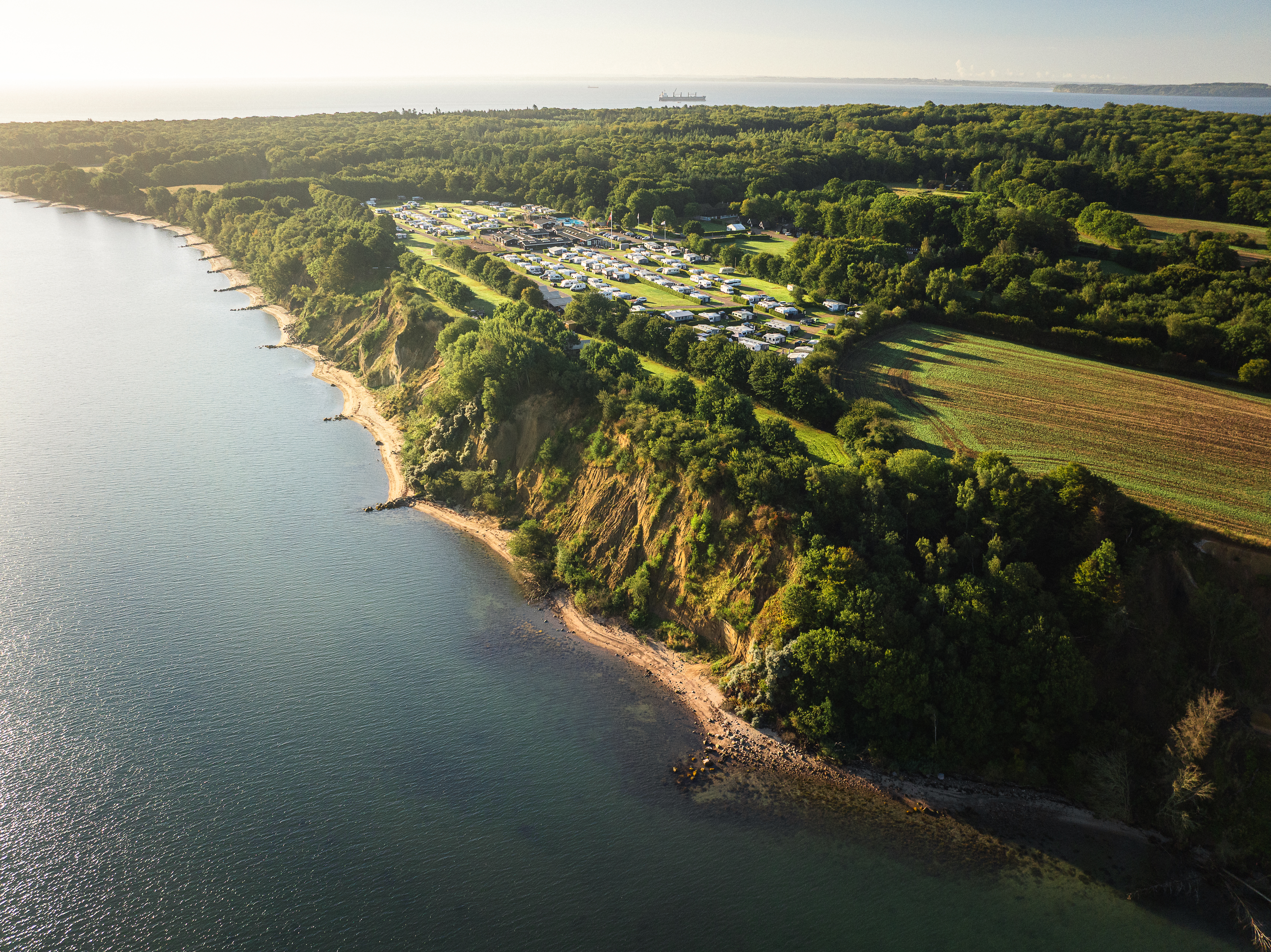 Ontdek natuurgebied Trelde Naes in Zuidoost Jutland, Denemarken